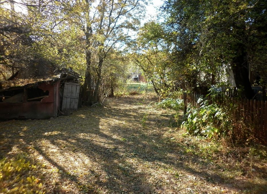 P1010187_resize