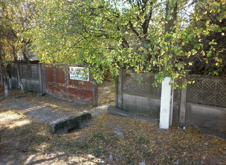 P1010198_resize