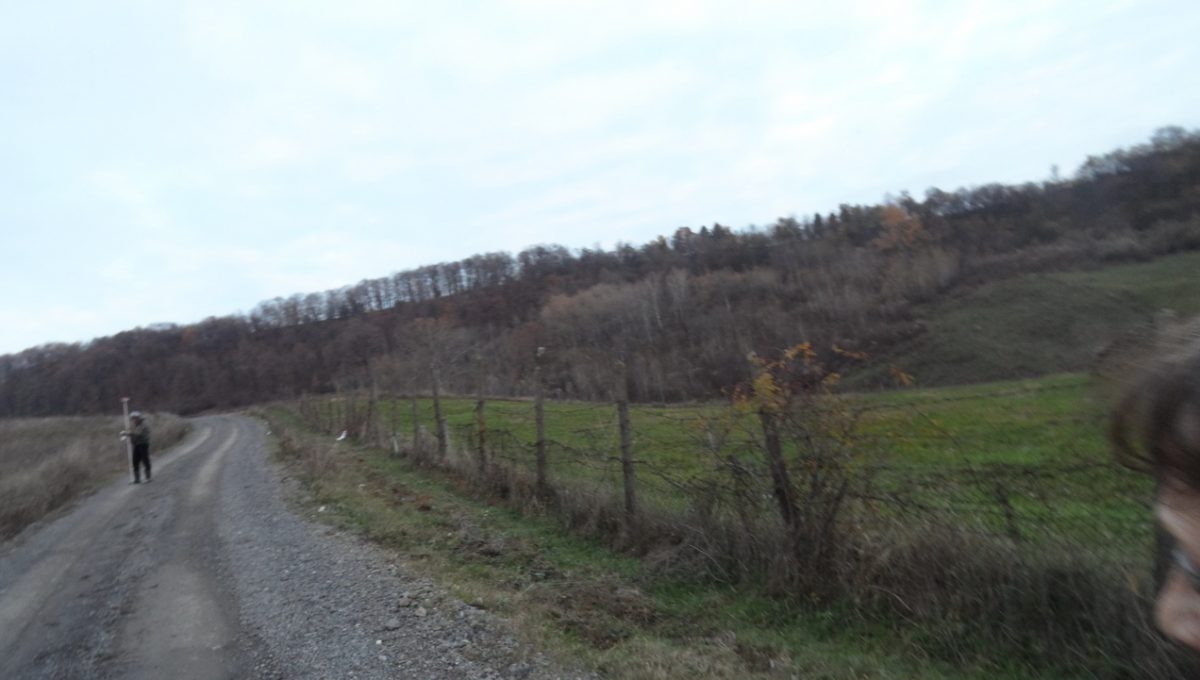 SAM_0866_resize