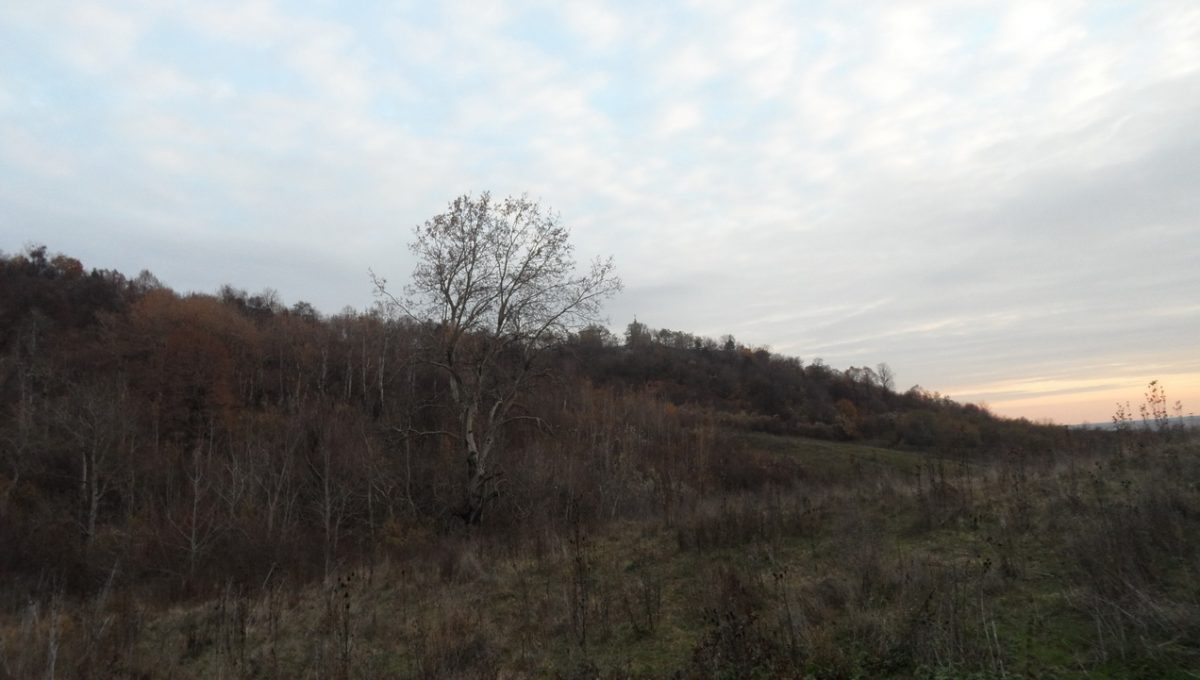 SAM_0891_resize