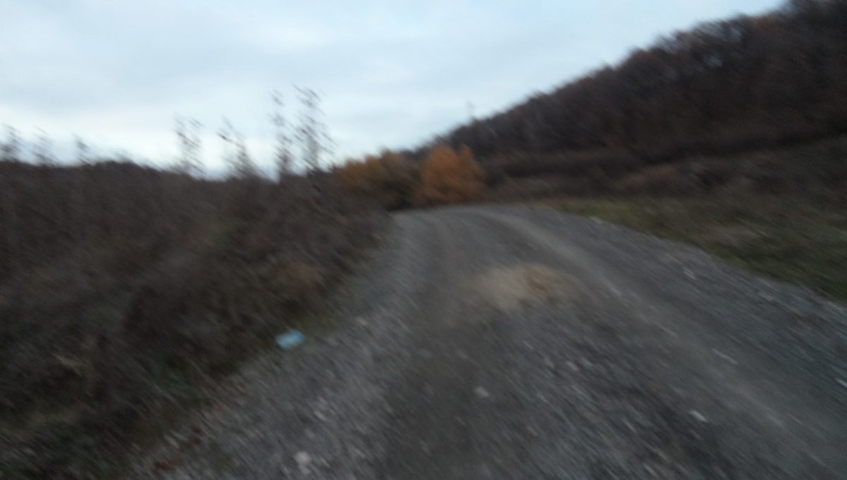 SAM_0897_resize