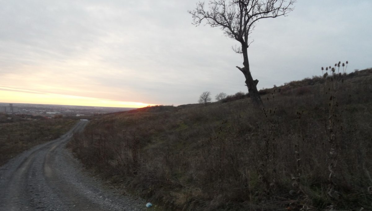 SAM_0899_resize