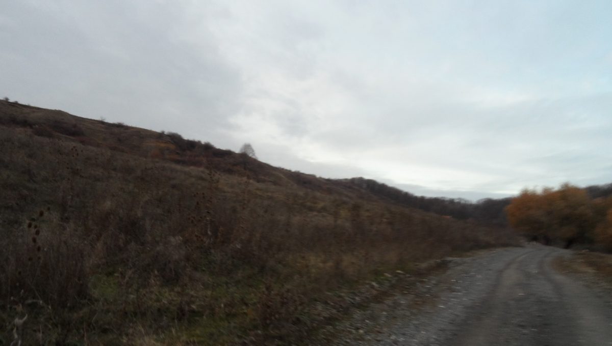 SAM_0900_resize
