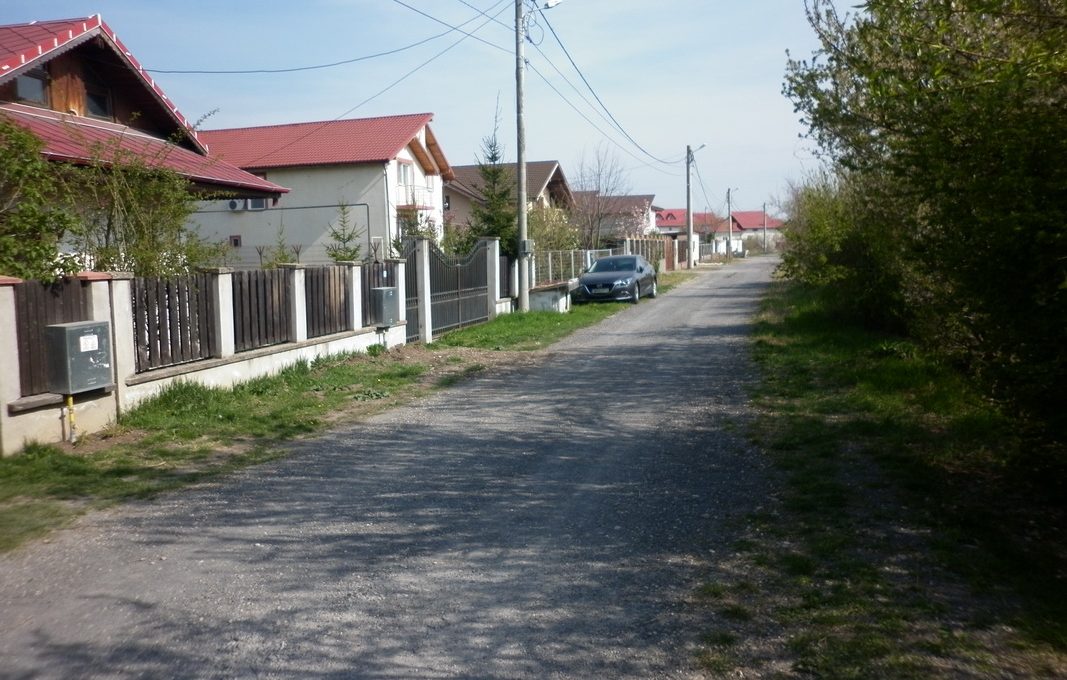 P1010171_resize
