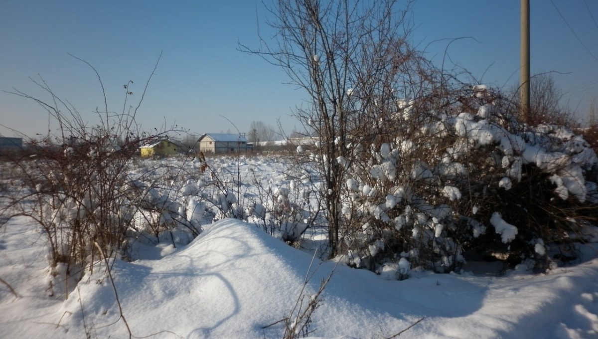 P1080828_resize