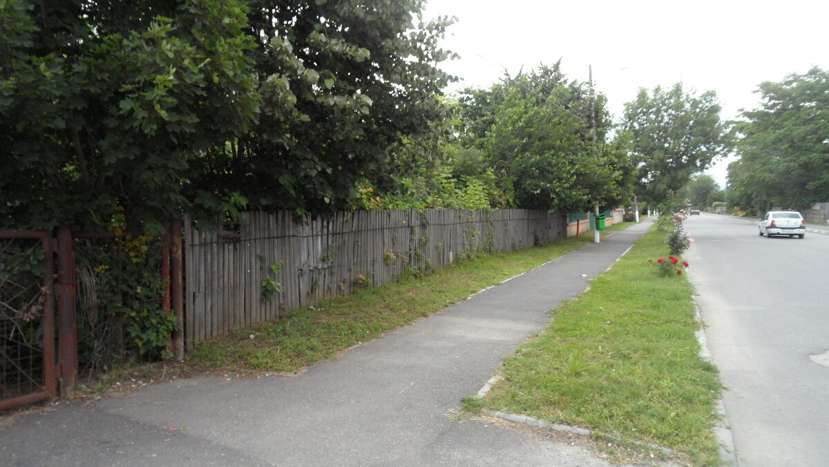 SAM_6718_resize