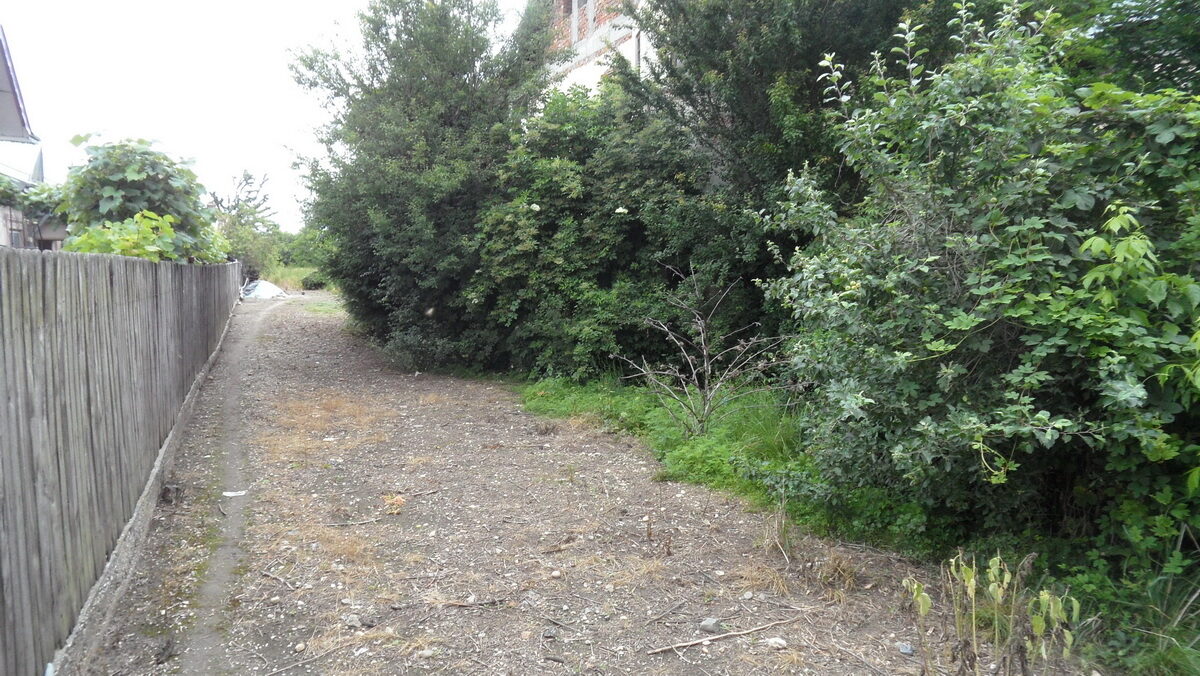 SAM_6722_resize