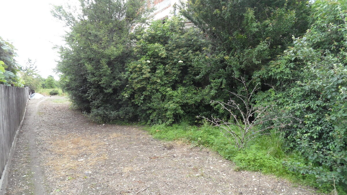 SAM_6724_resize