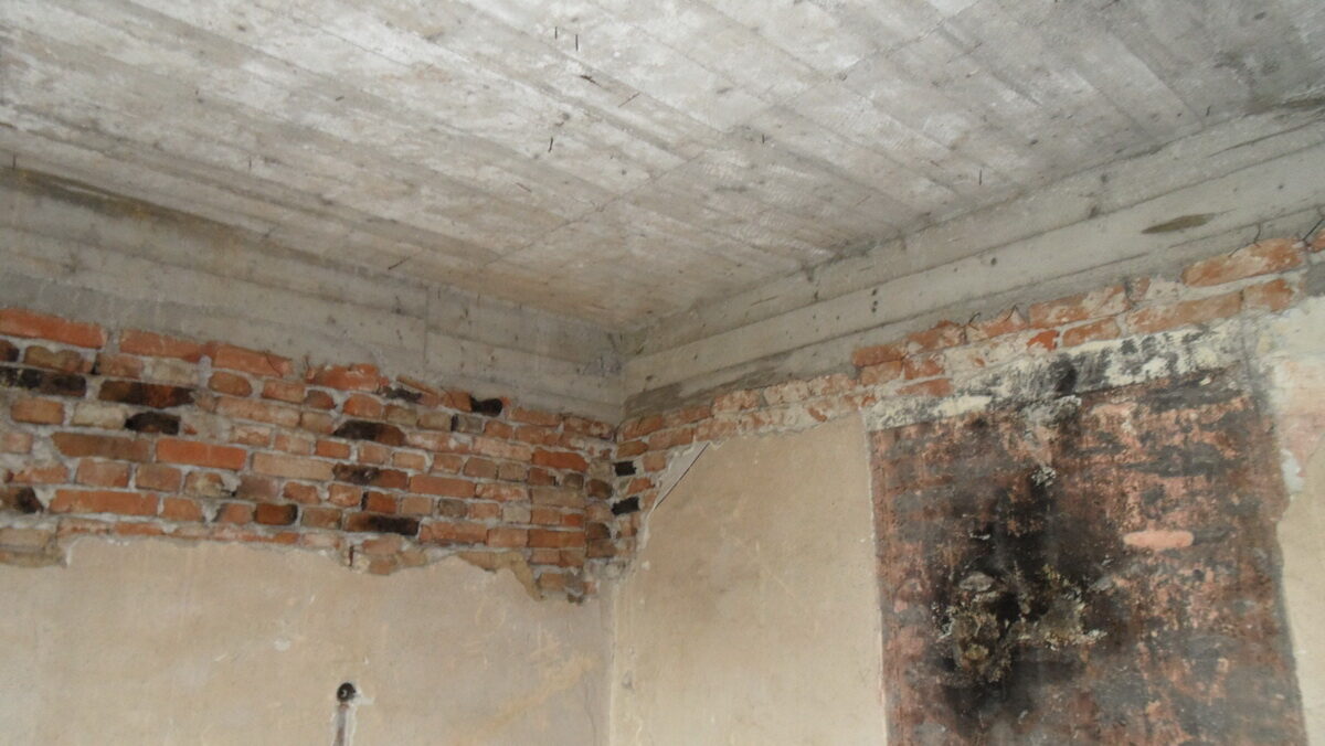 SAM_6756_resize