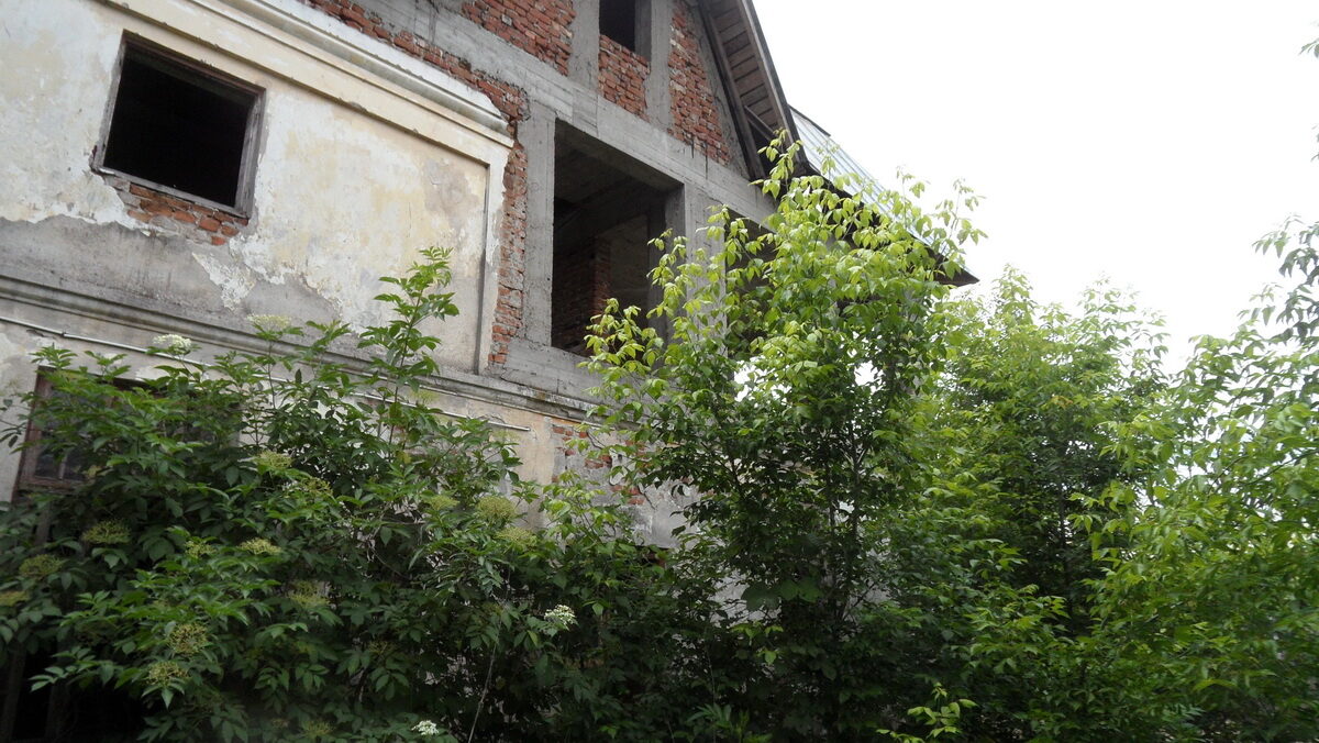 SAM_6769_resize