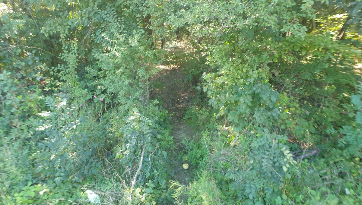 IMG-20220914-WA0004