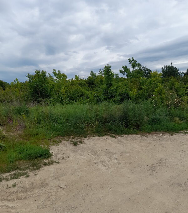 20240527_121444_resize