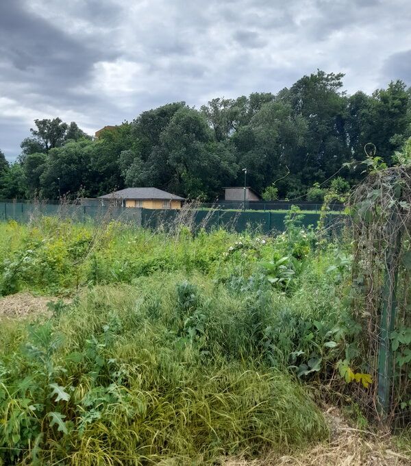 20240527_121453_resize