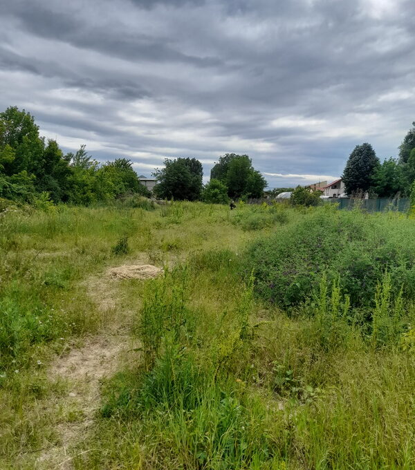 20240527_122111_resize