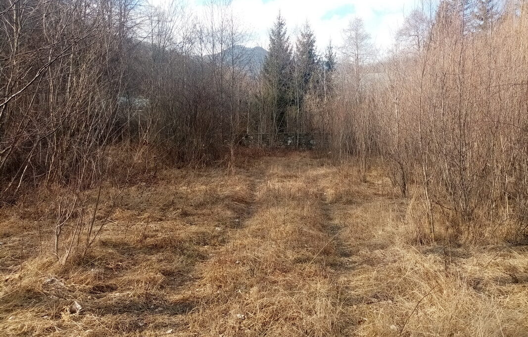 IMG_20220217_143628_resize