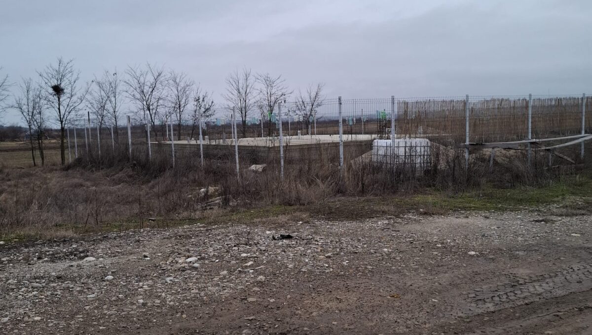 IMG-20260417-WA0000