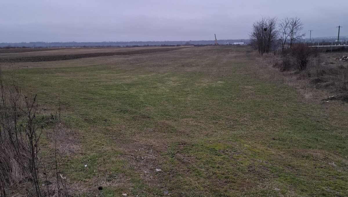 IMG-20260417-WA0005