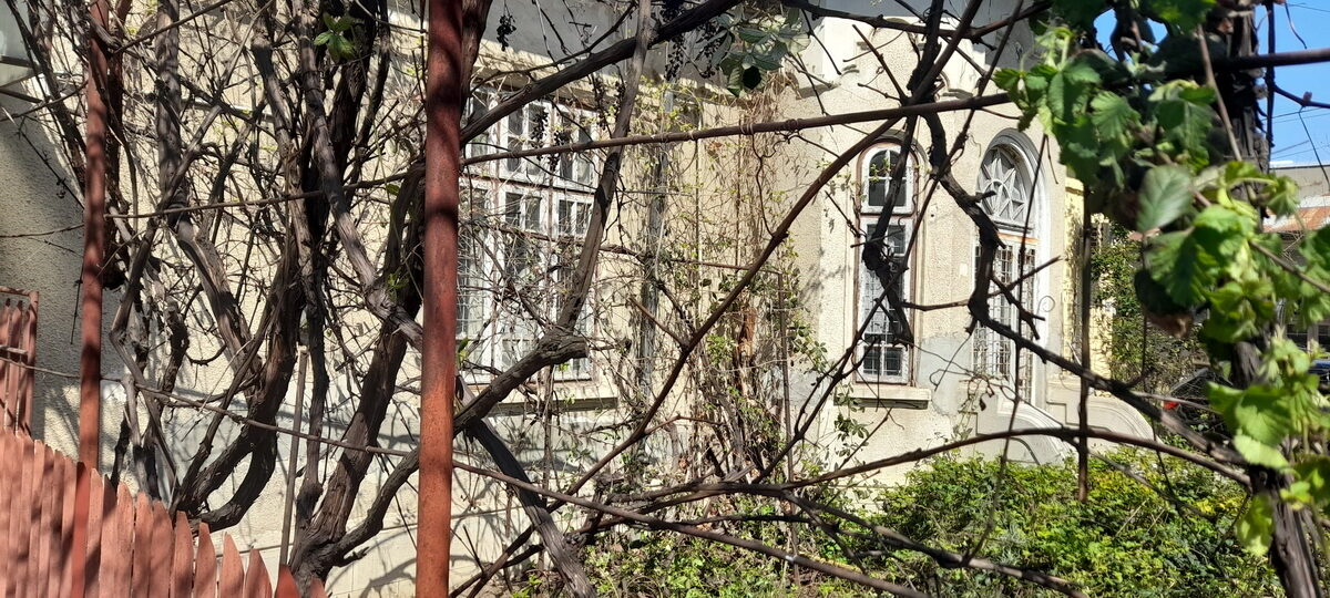 20260416_144710_resize