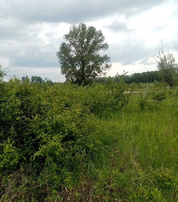 IMG_20230518_145340_resize